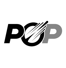 Page Optimizer Pro Logo